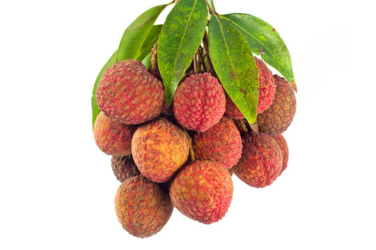 Lychee fruits red. Fresh lychees isolated on white background
