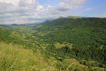 Fototapeta na wymiar Vallée de la Maronne (Cantal)