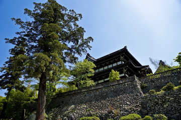 生垣の上の善光寺と大きな木