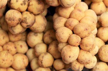 Marian plum fruit - asia fruit