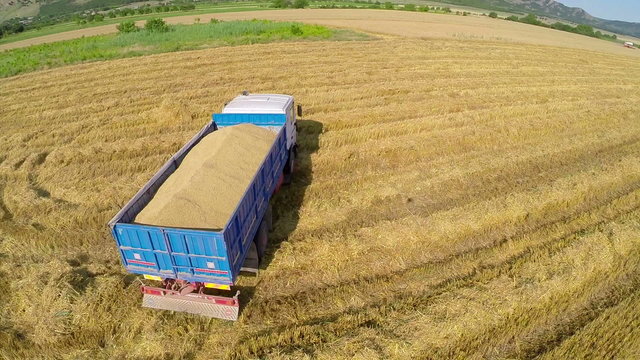 Large truck transport grain from the field. Aerial view.