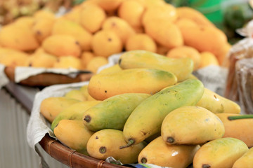Ripe mango in the market