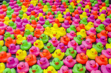 Fototapeta na wymiar Colorful Duck Toy