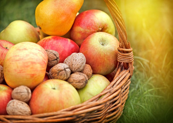 Autumn fruits in wicker basket