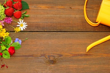 Water Can, Flowers and Strawberry on Wood Board
