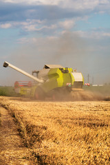 Fototapeta premium Combine harvesting wheat