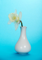 White ceramic vase with a flower