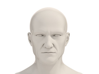 Human head isolated