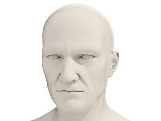 Human head isolated