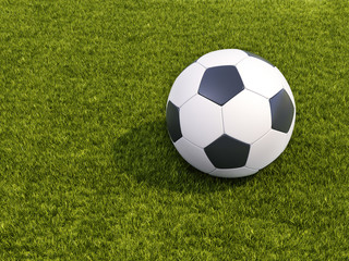 Soccer ball on grass