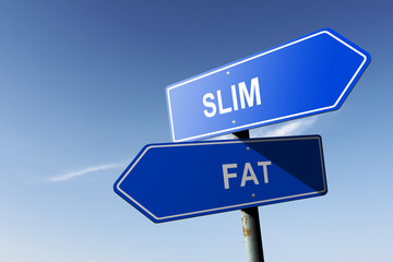 Slim and Fat directions.  Opposite traffic sign.
