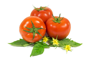 Three fresh red tomatoes on green leaves with yellow flowers