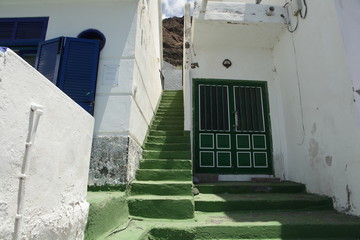 Alojera