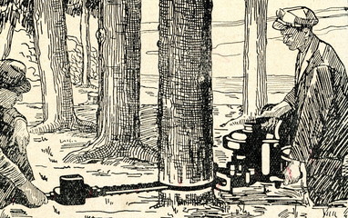 Ttree felling with chainsaw ca. 1930