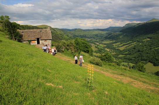 Paysage du Cantal.