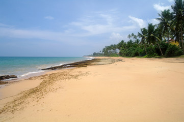 Tropical paradise  beach. Sri Lanka