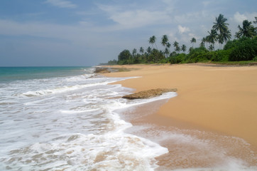 Tropical paradise  beach. Sri Lanka