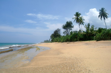 Tropical paradise  beach. Sri Lanka