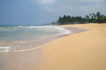 Fototapeta na wymiar Picturesque tropical beach. Sri Lanka