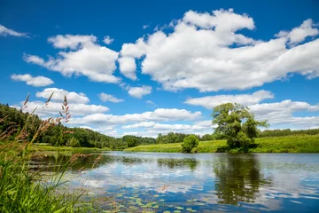 Sommerlandschaft