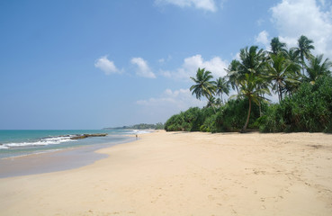 Fototapeta premium Picturesque tropical beach. Sri Lanka