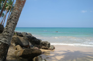 wild beach on Sri lanka coast