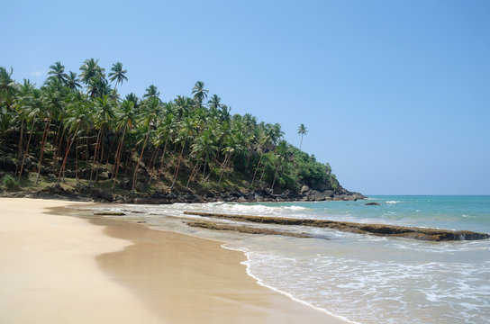 Picturesque  tropical beach. Sri Lanka