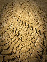 Tire tracks on the sand