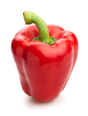 bell pepper