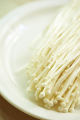Enoki