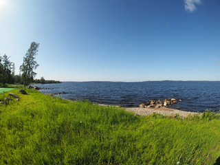 grass on the lake