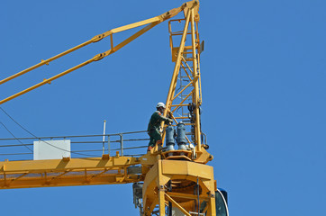 grue