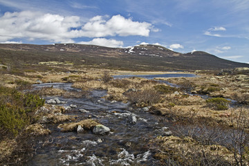 Im Dovrefjell