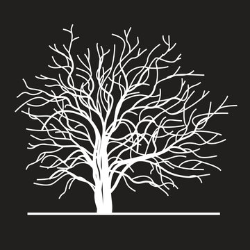 vector white tree on black background