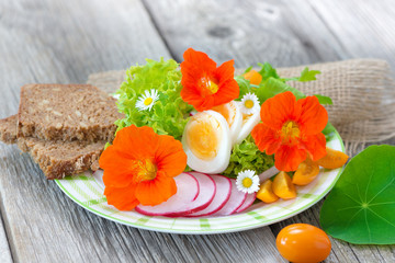 Knackiger Frühlingssalat