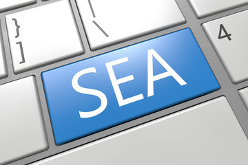 Search Engine Advertising