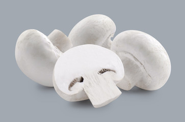 Fototapeta na wymiar Three whole white mushrooms and slice isolated on grey backgroun