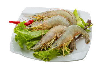 Raw tiger shrimps