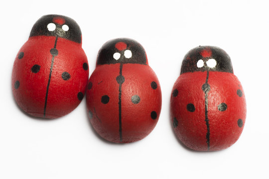 Isolated ladybugs decoration with blank space
