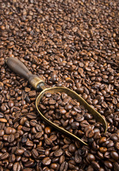 roasted coffee beans with retro bronze scoop