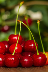 Fresh cherries