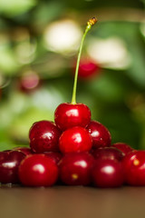 Fresh cherries