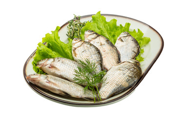 Crucian fish