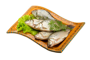 Crucian fish