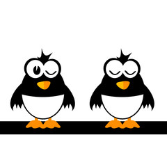 two funny bird vector illustration
