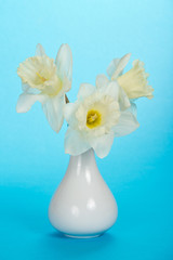 Bouquet of white narcissuses in a ceramic vase