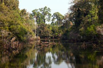 Fototapeta na wymiar The landscape with a lake and trees, Cambodia