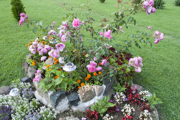 Roses & More