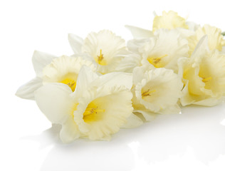 Obraz na płótnie Canvas The white, gentle spring flowers