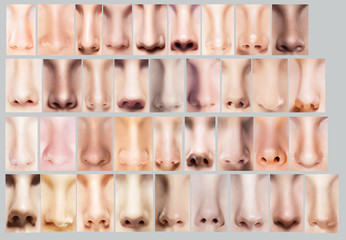 Fototapeta premium Great Variety of Women's Noses. Body Parts